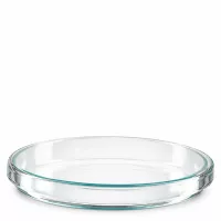 Runde Laborpetrischale aus Klarglas 100x15mm Seitenansicht mit türkisem Glasrand