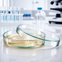 Sterilisierbare Glaspetrischale 80x15mm für Bakterienanzucht Pilzkulturen und Zellbiologie