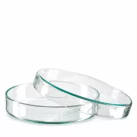 Flache runde Glasschale 100mm Durchmesser für wissenschaftliche Experimente