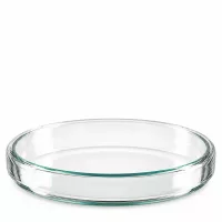 Mikrobiologie Petrischale aus Glas 90mm für Labor und Wissenschaft Seitenansicht
