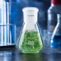 Erlenmeyerkolben 100ml mit Normschliff (29/32)