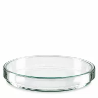 Flache zylindrische Glasschale 120mm Durchmesser 20mm Höhe für Labor und Forschung